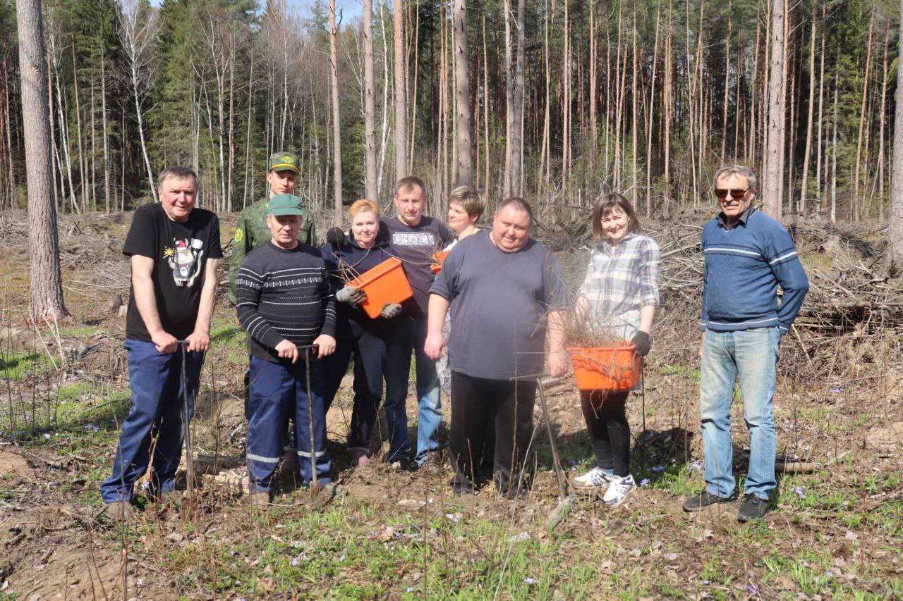 Профсоюзный актив работников госучреждений Минской области активно принимает участие в республиканской акции “Неделя леса”