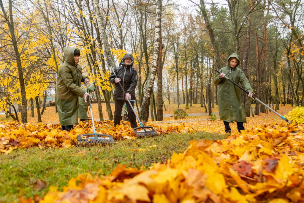 С заботой об отдыхе и оздоровлении трудящихся: профсоюзы благоустраивают санатории и базы отдыха