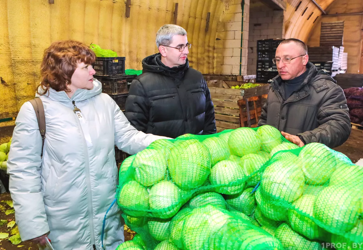 ХВАТАЕТ ЛИ В БЕЛАРУСИ ЗАПАСОВ ОТЕЧЕСТВЕННЫХ ОВОЩЕЙ, ПРОВЕРИЛИ КОМИТЕТ ГОСКОНТРОЛЯ И ПРОФСОЮЗЫ