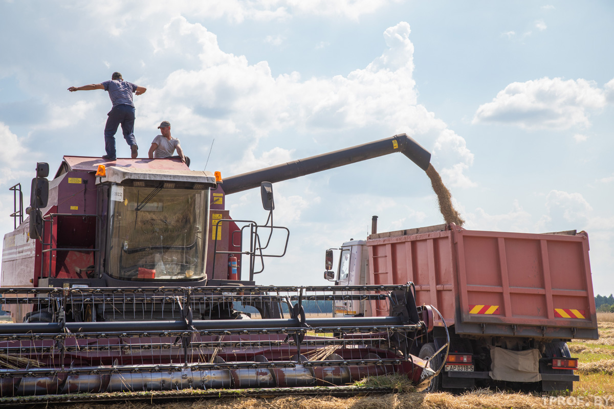ПРОФСОЮЗЫ ПРОДОЛЖАЮТ ВЫЯВЛЯТЬ НАРУШЕНИЯ В СФЕРЕ ОХРАНЫ ТРУДА ВО ВРЕМЯ ЖАТВЫ